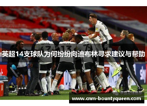 英超14支球队为何纷纷向迪布林寻求建议与帮助 英超14支球队为何纷纷向迪布林寻求建议与帮助