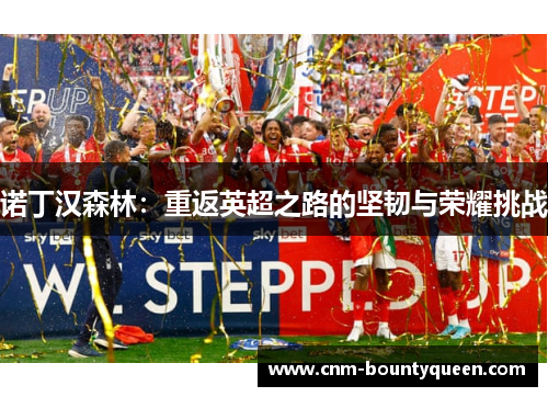 诺丁汉森林：重返英超之路的坚韧与荣耀挑战