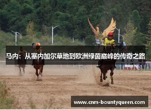 马内：从塞内加尔草地到欧洲绿茵巅峰的传奇之路