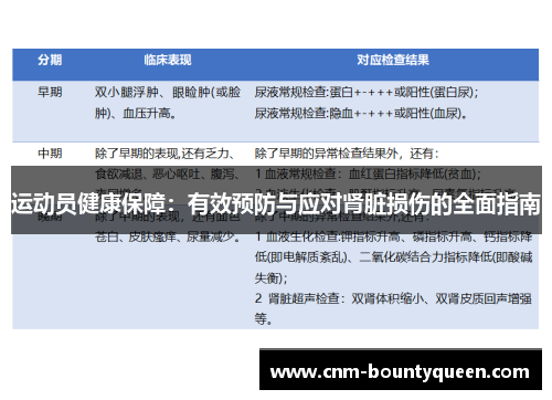 运动员健康保障：有效预防与应对肾脏损伤的全面指南