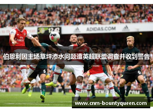 伯恩利因主场草坪渗水问题遭英超联盟调查并收到警告 伯恩利因主场草坪渗水问题遭英超联盟调查并收到警告